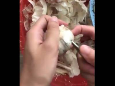  KAKO DA OČISTITE BELI LUK, A DA NE "USMRDITE" PRSTE? Genijalan trik oduševio 25 miliona ljudi 