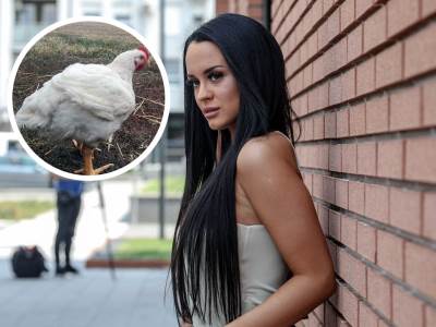  ŽENA OD SULTANA IMA FOBIJU OD JEDNE PERNATE ŽIVOTINJE 