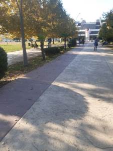  Građani da ne šire neprovjerene informacije o posutom otrovu, ekipe Čistoće obilaze teren 