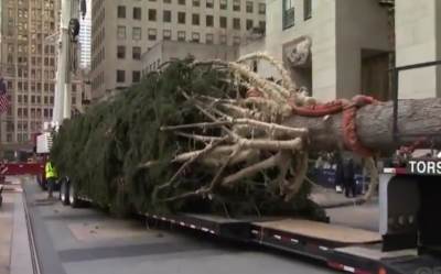  NOVOGODIŠNJA JELKA PREDMET PODSMIJEHA NA MREŽAMA: "Kao i svi mi, svašta je prošla ove godine..." (FO 