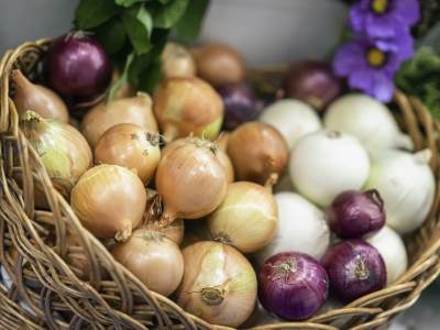  Koja vrsta luka najbolje "ide" uz određenu hranu, a koji je najzdraviji? 
