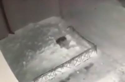  POGLEDAJTE JEZIV SNIMAK PADA DJEVOJČICE (6) SA ZGRADE: Nakon svega ustala i odšetala nazad u stan! 