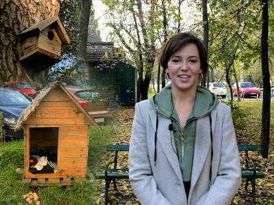  Kako napraviti sklonište za psa psi lutalice u Podgorici  