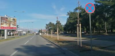  NOVI DRVORED NA BULEVARU ŠARLA DE GOLA 