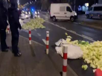  U ZNAK PROTESTA - MRTVA SVINJA ISPRED VRATA 
