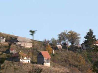  POLA STADA ZAKLALE DIVLJE ŽIVOTINJE: Užas u selu kod Višegrada, mještani zabrinuti! 