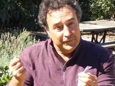  NUTRICIONISTA REŠIO DILEMU: Tri razloga zašto bi jednu namirnicu trebalo zabraniti zauvek! 