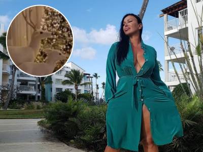  SVE SIJA U RASKOŠNOJ VILI, A JELKA DO PLAFONA: Zavirite u novogodišnju čaroliju Marte Savić i Mileta 
