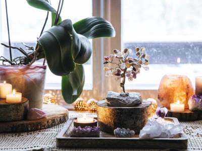  PRIVUCITE NOVAC I USPEH U 2021. GODINI 