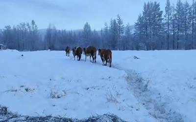  EKSTREMNA HLADNOĆA! SLEDI NAJSUROVIJA NOVA GODINA U SIBIRU: Očekuje se da bude čak MINUS 50 stepeni! 