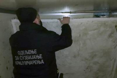   SPECIJALAN BUKNER! Carinici u Srbiji pronašli iskusan "štek", kad su ga otvorili ZAPANJILI SE (FOTO 