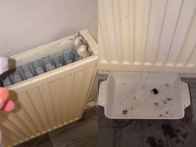  OTVORILA JE RADIJATOR, A ONO ŠTO JE UNUTRA ZATEKLA JE ZGROZILO SVE: Odmah ćete poželeti da operete svoj! (VIDEO) 