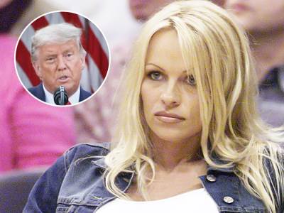  pamela-anderson-donald-tramp-pomilovanje-asanz 