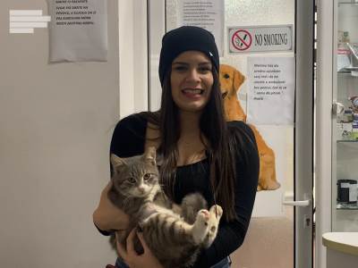  Veterinarstvo životinje 