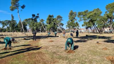  Akcija pošumljavanja, park-šuma Zlatica od danas bogatiji za 500 sadnica 