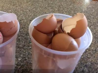  NI SLUČAJNO NE BACAJTE LJUSKE JAJA! Ubacite ih u jabukovo sirće, malo ljudi zna šta sve od njih može 