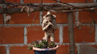  "Crna dama" opustošila bašte u Velikoj Britaniji 