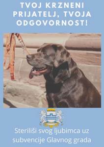 Vuković: Glavni grad subvencionira sterilizaciju pasa, ovo su uslovi 