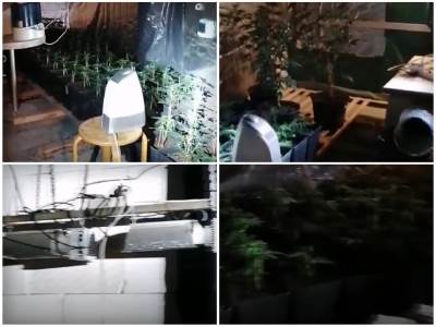  LABORATORIJA DROGE USRED BEOGRADA! Policija zaustavila auto za kojim su tragali, posle ušli vozaču u kuću, tamo - ŠOK 