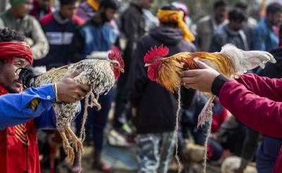  PETAO UBIO VLASNIKA! Posekao muškarca u predelu prepona, ovaj iskrvario na putu do bolnice 