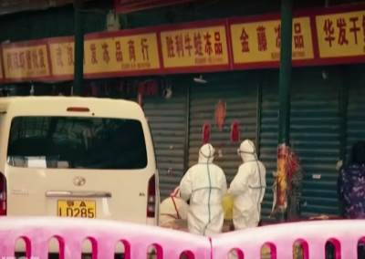  U VUHANU LOV NA PORIJEKLO KORONE: Naučnici tima SZO otkrili sve što su do sada saznali! (VIDEO) 