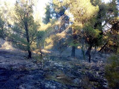  VUKOVIĆ POŽAR GORICA 