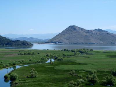  Ribolovni zabran u NP Skadarsko jezero počinje 15. marta nacionalni park  