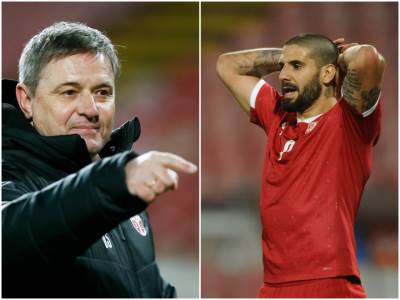  fudbal reprezentacija srbije svetsko prvenstvo piksi vlahovic tadic mitrovic 