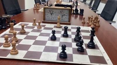  17 medalja za mlade šahiste 