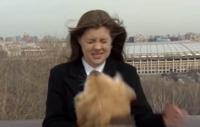  voditeljku napao pas u toku emisije 