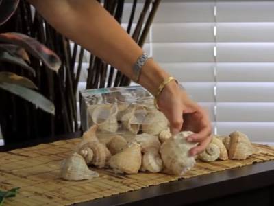  kuca sujevjerje gdje treba drzati skoljke 