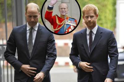  princ vilijam i princ hari na sahrani princa filupa 