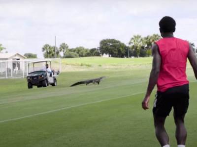  na floridi krokodil upao na teren fudbalerima 