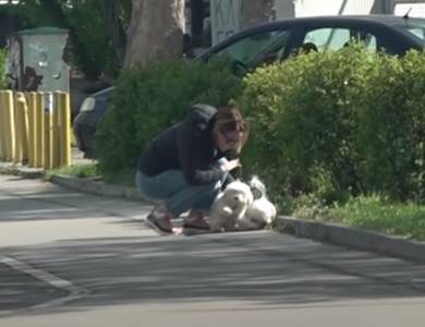  marijana micic kaznjava psa na ulici 