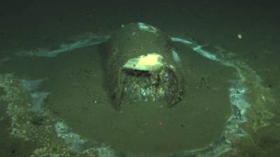  ekoloska katastrofa los andjeles 