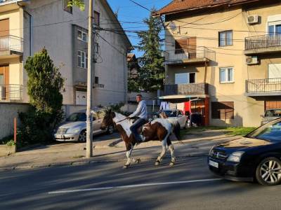  muskarac jaše konja u beogradu  