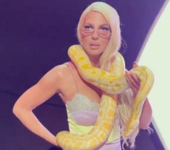  jelena karleusa sa zmijom oko vrata  
