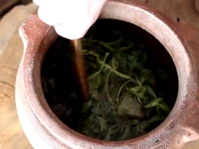  kopriva ima ljekovita svojstva  