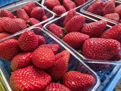  kako jagode doprinose zdravlju 