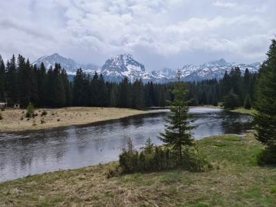 trideset godina ekoloske drzave 