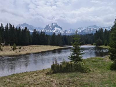  ziplajn nesreca zabljak 