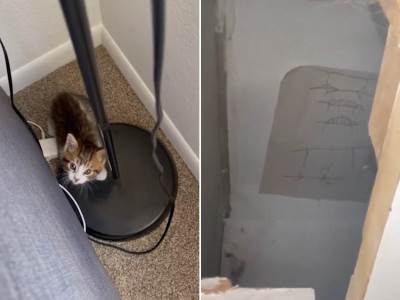  tiktokerka otkrila trik za čišćenje namještaja 