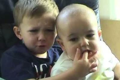  charlie bit my finger 