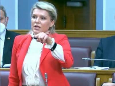  draginja vuksanovic marko milacic svadja u skupstini 