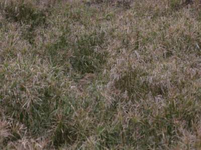  mozgalice sta vidite na slici 