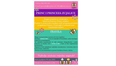  Bira se princeza i princa Zujalice! 