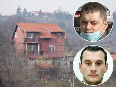  radoje vicer velja nevolja kavacki klan organizacija ubistva 