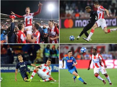  crvena zvezda fudbal liga sampiona 