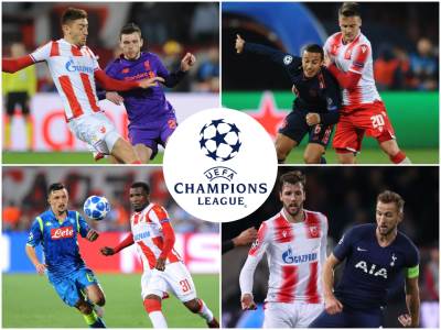  crvena zvezda liga šampiona 