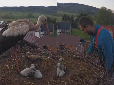  ceska svijet tragedija 